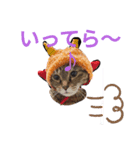 黒猫ちゃんのファミリィ挨拶（個別スタンプ：2）