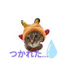 黒猫ちゃんのファミリィ挨拶（個別スタンプ：6）