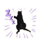 黒猫ちゃんのファミリィ挨拶（個別スタンプ：8）