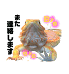 ♥︎Lizard's Tenko♥︎I（個別スタンプ：2）