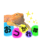 ♥︎Lizard's Tenko♥︎I（個別スタンプ：3）