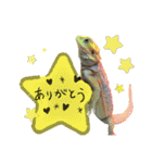 ♥︎Lizard's Tenko♥︎I（個別スタンプ：8）