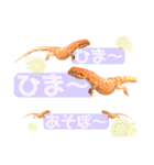 ♥︎Lizard's Tenko♥︎I（個別スタンプ：12）