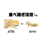 ♥︎Lizard's Tenko♥︎I（個別スタンプ：14）