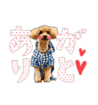 トイプーのモカちゃん❤（個別スタンプ：5）