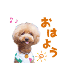 デカプーモモちゃん（個別スタンプ：2）