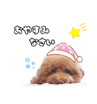 デカプーモモちゃん（個別スタンプ：4）
