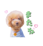デカプーモモちゃん（個別スタンプ：9）