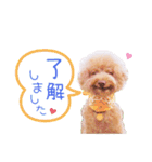 デカプーモモちゃん（個別スタンプ：10）