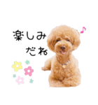 デカプーモモちゃん（個別スタンプ：11）