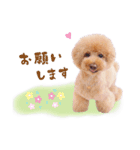 デカプーモモちゃん（個別スタンプ：12）