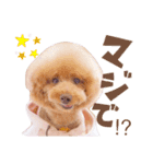 デカプーモモちゃん（個別スタンプ：15）