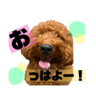 チョココレ2（個別スタンプ：1）