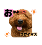 チョココレ2（個別スタンプ：2）