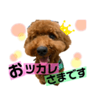 チョココレ2（個別スタンプ：21）