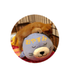 しばいぬ*こまち（個別スタンプ：8）