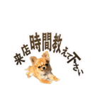 パート003 Happy dog（個別スタンプ：22）