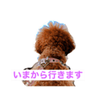 うちの犬と時々絵（個別スタンプ：2）