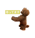 うちの犬と時々絵（個別スタンプ：5）