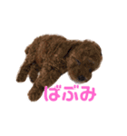 うちの犬と時々絵（個別スタンプ：6）
