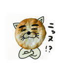 ニャンか空気読める（個別スタンプ：8）
