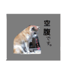六ノ助（個別スタンプ：5）