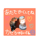 六ノ助（個別スタンプ：6）