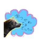 六ノ助（個別スタンプ：7）
