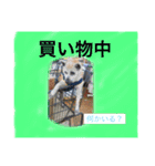 六ノ助（個別スタンプ：8）