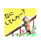 六ノ助（個別スタンプ：10）