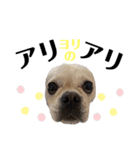 テンちゃんすたんぷ。（個別スタンプ：5）
