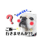 テンちゃんすたんぷ。（個別スタンプ：15）
