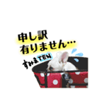 テンちゃんすたんぷ。（個別スタンプ：18）