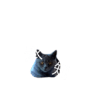 びび②（個別スタンプ：5）