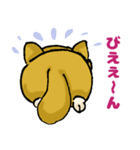 柴犬ぶん（個別スタンプ：3）