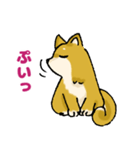 柴犬ぶん（個別スタンプ：5）