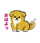 柴犬ぶん（個別スタンプ：10）