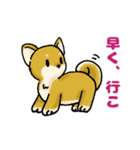 柴犬ぶん（個別スタンプ：20）