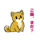 柴犬ぶん（個別スタンプ：22）