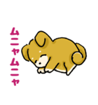 柴犬ぶん（個別スタンプ：23）