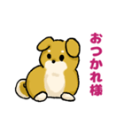 柴犬ぶん（個別スタンプ：24）