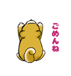 柴犬ぶん（個別スタンプ：32）