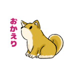 柴犬ぶん（個別スタンプ：34）