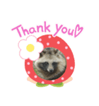 raccoon dog 狸（個別スタンプ：1）