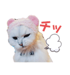 我が家のボス猫（個別スタンプ：10）