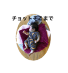 紗玖スタンプ（個別スタンプ：8）