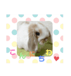 みみぃ生活（個別スタンプ：2）