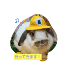 みみぃ生活（個別スタンプ：5）