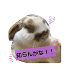 みみぃ生活（個別スタンプ：9）