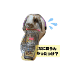 みみぃ生活（個別スタンプ：10）
